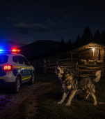 Tragedie în Buzău. Un copil de 4 ani a fost ucis de un câine ciorbănesc
