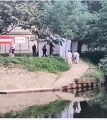 Un copil de 11 ani a fost ucis la pescuit. Principalii suspecți doi adolescenți de 15 și 16 ani