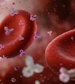 Oxid nitric: beneficii și recomandări