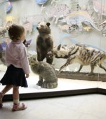 Top 5 muzee din Bucuresti ideale pentru copii