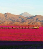 25 fenomene incredibile ale naturii pe care nu le stiai 