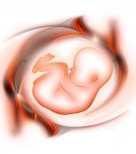 Sarcina pe luni - detalii importante ale celor 9 luni de sarcina