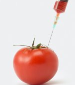 Alimentele modificate genetic: tot ce trebuie sa stii