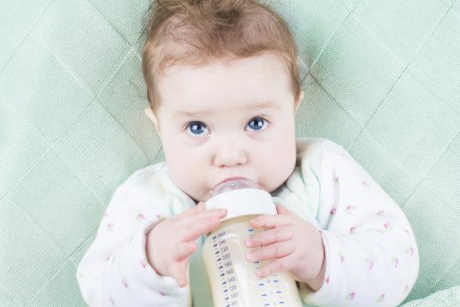 10 mituri despre laptele praf daramate