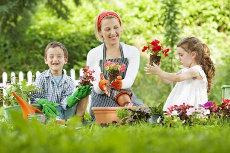 12 Jocuri de gradinarit pentru tine si copilul tau