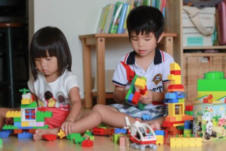 3 obiecte pe care le poti construi cu caramizi Lego Duplo