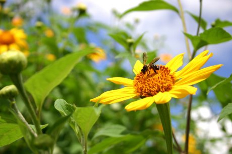 Top 10 produse care protejeaza copilul de insecte pe timp de vara