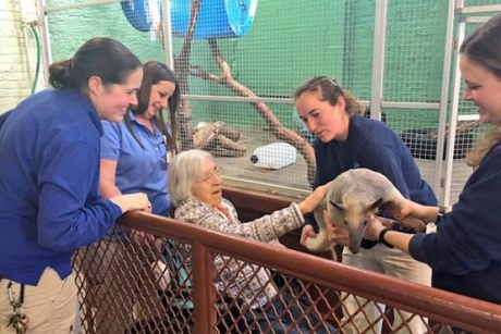 O grădină zoologică din Indiana a îndeplinit dorinţa de-o viaţă a unei bunicuţe de a deveni îngrijitor