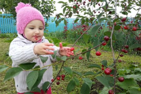 Jurnal de tătic. Cum alegi mâncarea potrivită pentru toată familia