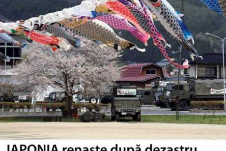 Japonia renaste dupa dezastru expozitie de fotografie la Muzeul National al Taranului Roman