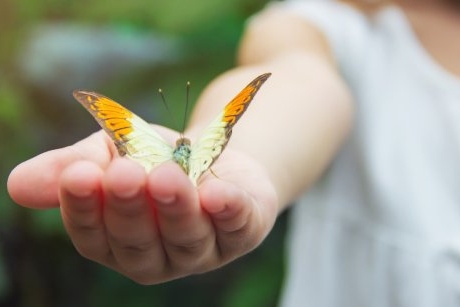 O fetiță a eliberat un fluture însă a avut parte de o lecție dură despre viață