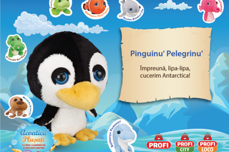 Poveste câştigătoare: Pinguinu' Pelegrinu' cucereşte Antarctica