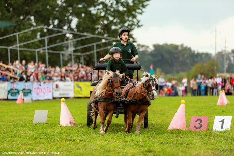 Poneii vor face spectacol la Karpatia Pony Show 2017 