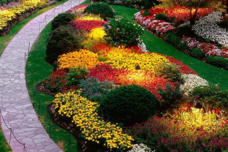 Flori, culori și piatră naturală pentru grădina ta 