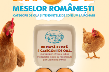 Doar 39% dintre romani stiu ce inseamna cifra inscrisa pe oua