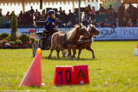 Poneii reiau spectacolul ecvestru la Karpatia Pony Show 2018, ediția a II-a