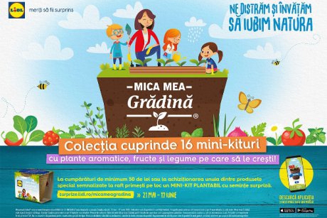 Lild îi învață pe cei mici cum să aibă mica lor grădină la ei acasă