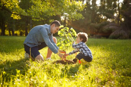 Învață-l pe copilul tău despre plante și copaci cu plușații Plantela și Copăcescu