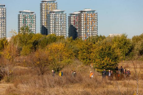  Banca Transilvania și Asociația Parcul Natural Văcărești lansează programul de voluntariat “Fii Ranger Urban!”