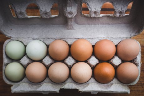 Alertă! Sute de mii de ouă contaminate au ajuns pe mesele românilor