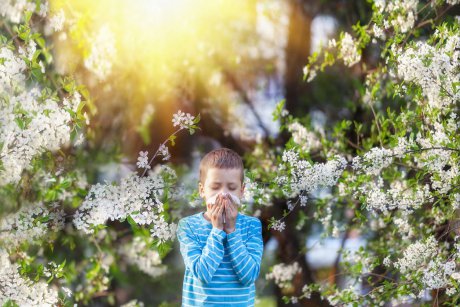 9 semne că ai un copil care are astenie de primăvară