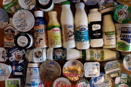 APC avertizează: doar unul din 10 tipuri de iaurt este fabricat din 100% lapte românesc