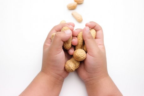 Cum introduci alunele și nucile în alimentația copilului?