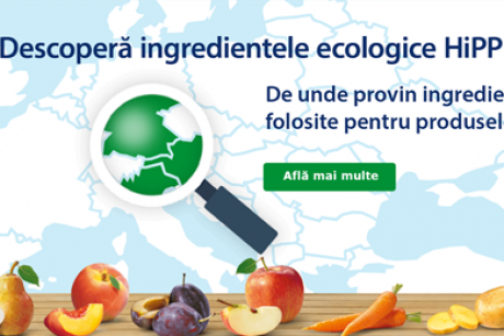 Bananele ecologice – ce este mai bun pentru copilul tău!