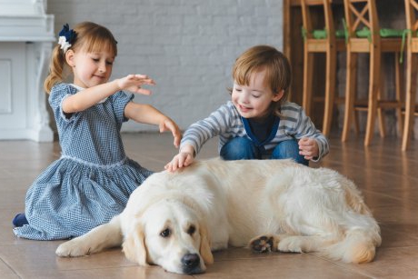 De ce unii copii își doresc să rănească animalele