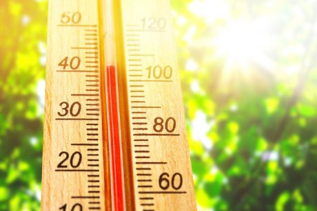 Un nou val de căldură lovește România. Se anunță temperaturi de până la 38 de grade la umbră!