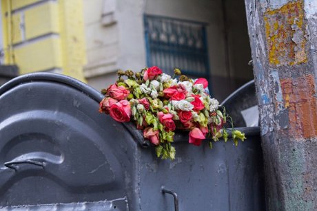 Ce s-a întâmplat cu florile pe care părinții au dat bani (nu puțini!) în prima zi de școală