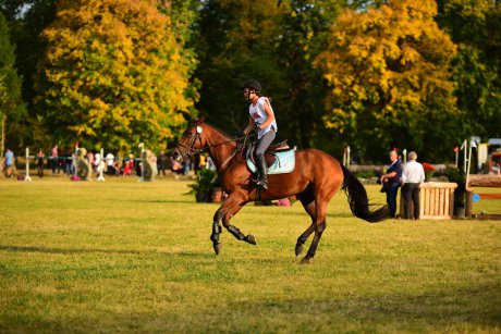 Spectacol ecvestru de top pentru 12.000 de spectatori la Karpatia Horse Show.