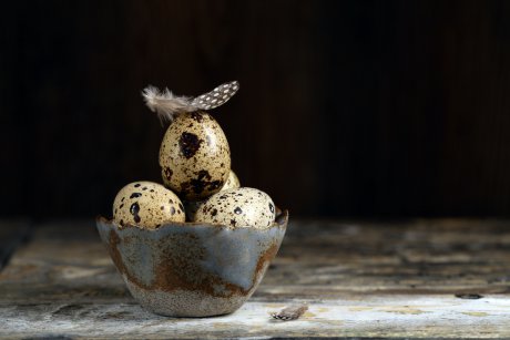 Cura cu ouă de prepeliță: contraindicații și eficiență
