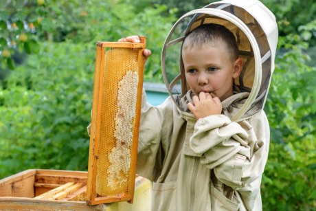 Apiterapia: ce este și ce afecțiuni tratezi la copii cu produse apicole
