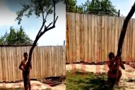 Imagini inumane în Vaslui: o mamă și-a legat cu lanțuri fiul de un copac, gol, fără apă, în plin soare