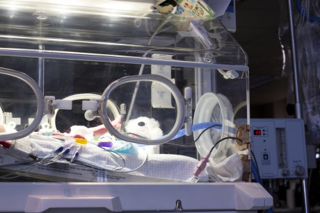 30 de bebeluşi au murit în spital! Ce se întâmplă la secţia de terapie intensivă de la Marie Curie