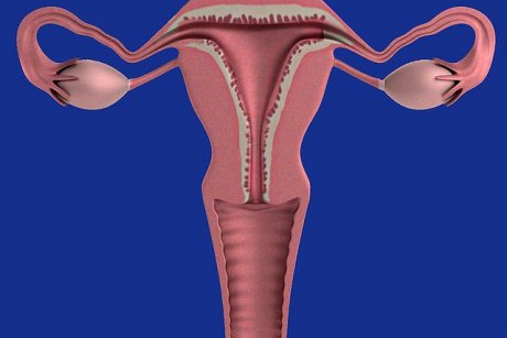 Care sunt simptomele ovulației?