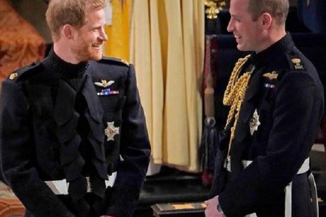 Ştiai că prinţii William şi Harry au încă un frate şi o soră?