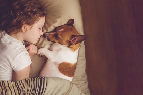 Cea mai eficientă metodă dacă vrei un somn de calitate pentru copilul tău. Un studiu dezvăluie ce trebuie să faci