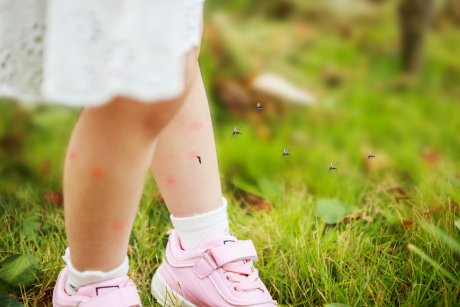 Invazie de țânțari în București. Cum ne protejăm copiii