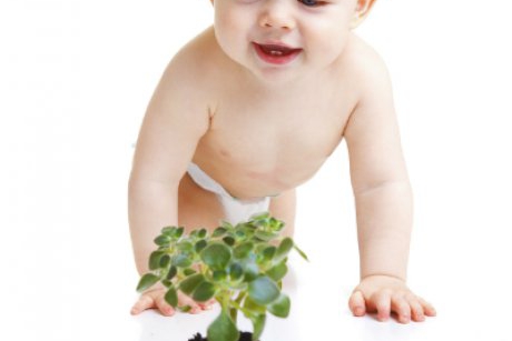 Lista cu plantele de apartament periculoase pentru copilul tau