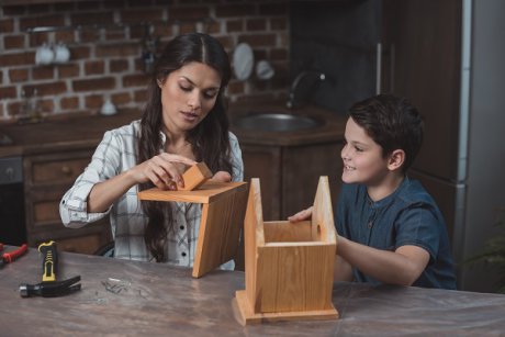 Căsuța pentru păsări: cum să faci un model reușit alături de copilul tău