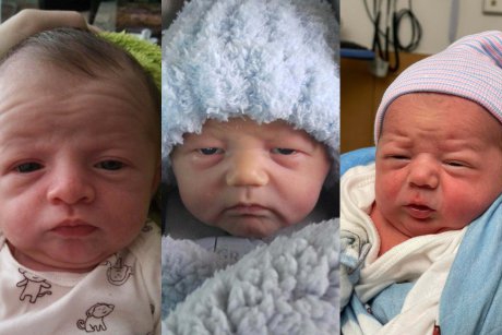 16 bebeluși simpatici care pare că mai au puțin și se pensionează