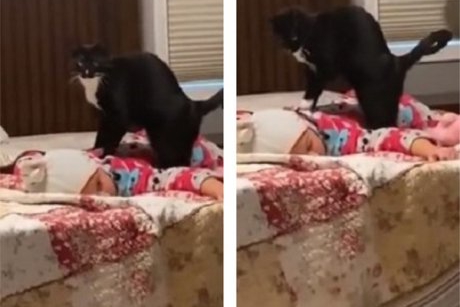 Momentul zilei: mama surprinde pisica familiei în timp ce îi face masaj bebelușului