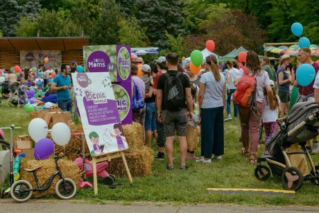 Spectacole, ateliere și distracție pentru copii și părinți la cel mai mare PICNIC IN FAMILIE. Te așteptăm pe 4 septembrie în parc Herăstrău!