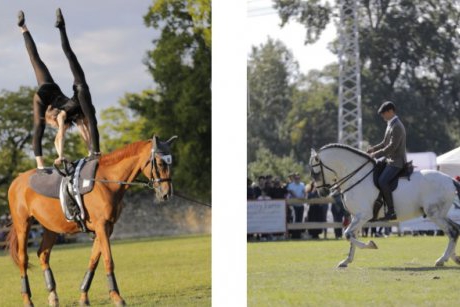 Karpatia Horse Show 2022: șapte premii pentru România, 15 mii de spectatori și o atmosferă chic!