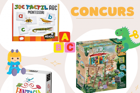 Regulament concurs Playmobil