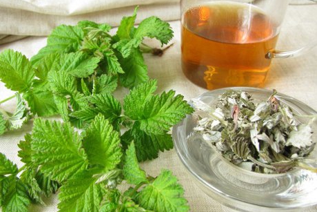 Ceai din frunze de zmeură: beneficii și proprietăți