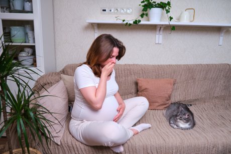 Este indicat să cureți litiera pisicii dacă ești însărcinată?