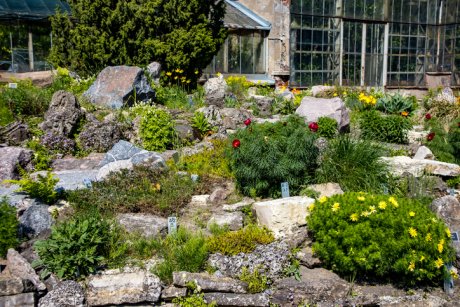 5 moduri în care îți poți amenaja grădina cu flori și piatră